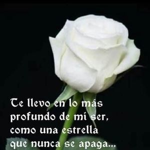 Meet your Posher, Alba